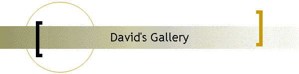 David's Gallery